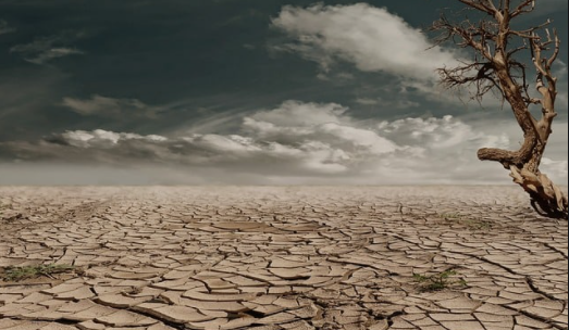 redimentation's tweet photo. The effects of #soil erosion go beyond the loss of fertile land. It has led to increased #pollution and sedimentation in #streams and #rivers, #clogging these waterways and causing declines in fish and other species. And degraded lands are also often less able to hold onto water. https://t.co/Z2HPGo0WYq