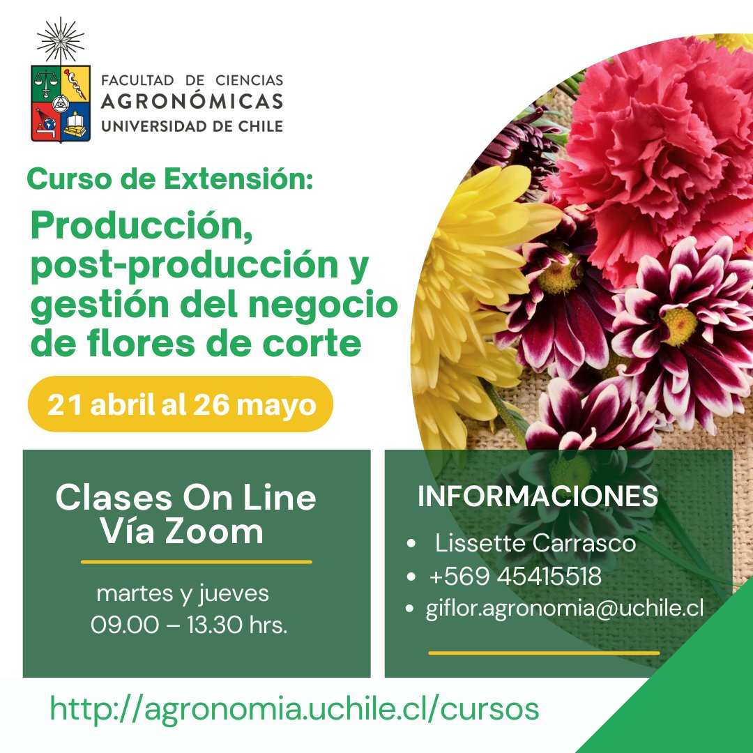 agronomiauchile's tweet image. Curso de Extensión on-line Producción, post-producción y gestión del negocio de flores de corte🌻
📅Inicio del curso 21de abril hasta el  26 de mayo 2022
💻vía zoom 
⏰Clases martes y jueves de 09.00 – 13.30 hrs.
Información en👉agronomia.uchile.cl/cursos/183559/…
 #floricultura #cursos2022