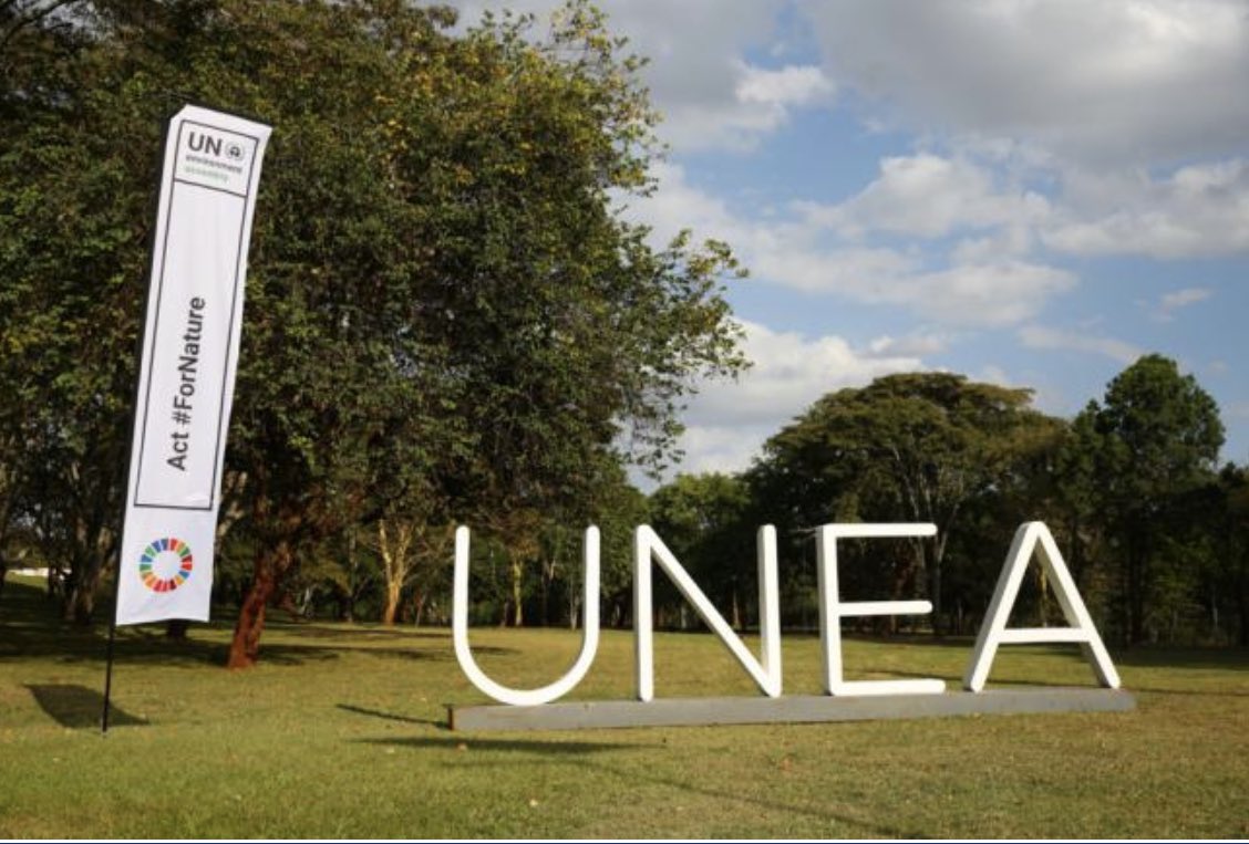 A boast in how we deal with plastics pollution around the globe:- Marine litter , plastic pollution and Circular economy . I'm excited to attend .  #UNEA #UNEA5 #UNEP50  #BeatPlasticPollution 
#Act4nature