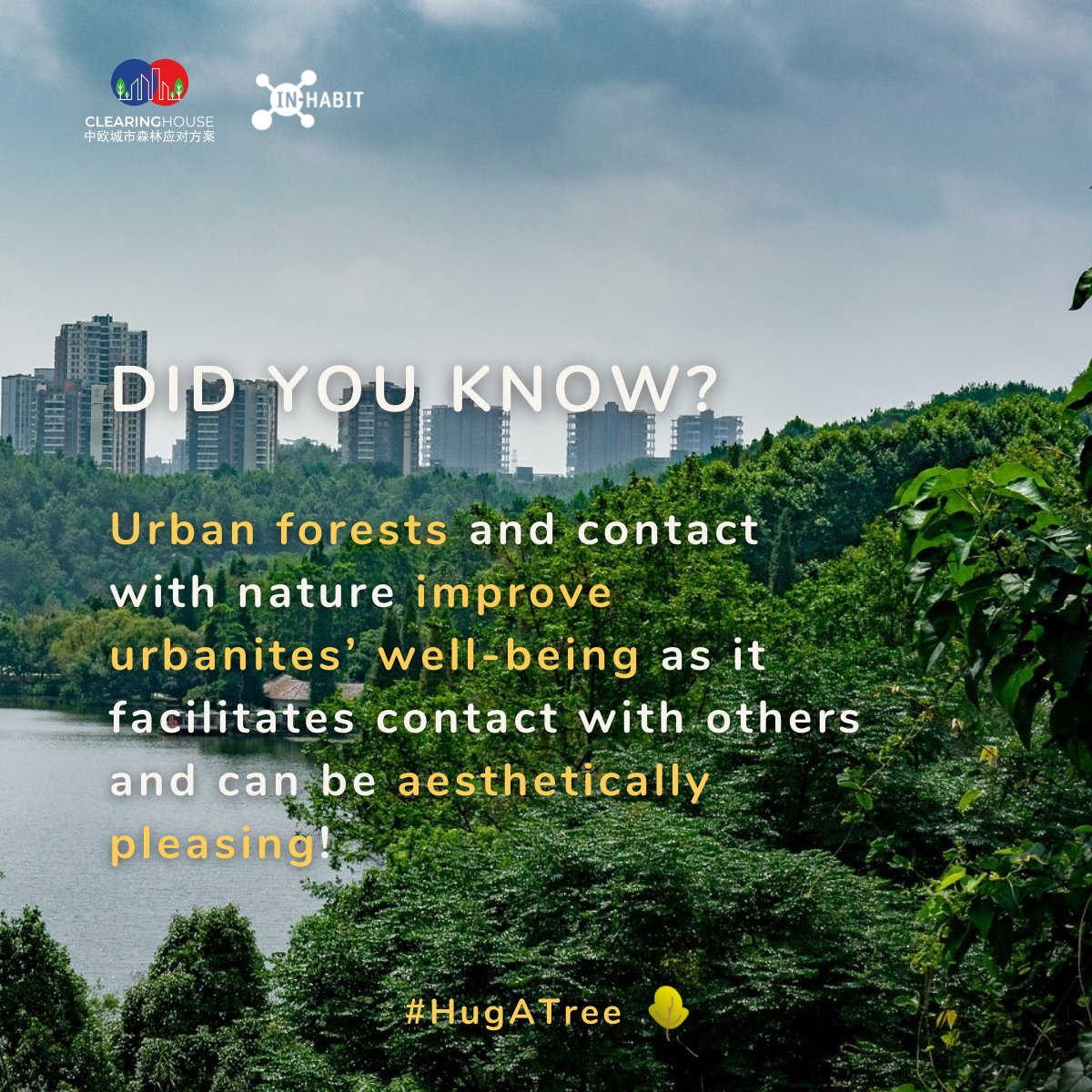 INHABIT_H2020's tweet photo. 📍Have you ever thought of all the positive outcomes of living near an urban forest? And how cool is it? 🌳🤩
Follow all the interesting insights of @CLEARINGHOUSE_ and don't forget to join the campaign #HugATree 🌿
#EUrbanAreas #EUxNature #CityForLiving #INhabiTowns #REspaceEU https://t.co/PSfGYOo4fw