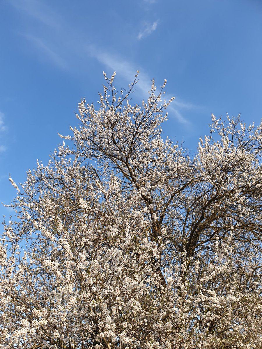 Rencontre <a href="/LycJanetti/">Lycée MAURICE JANETTI</a> la classe de seconde 8 poursuit l'aventure de #jeunesenlibrairie <a href="/regionsud/">region sud</a> @PlainePage
Rencontre avec un poète et dentiste militant pour des soins dentaires solidaires et sociaux à l'occasion de la parution de son recueil chez #plainepage Cheese!!! 😁🦷✍