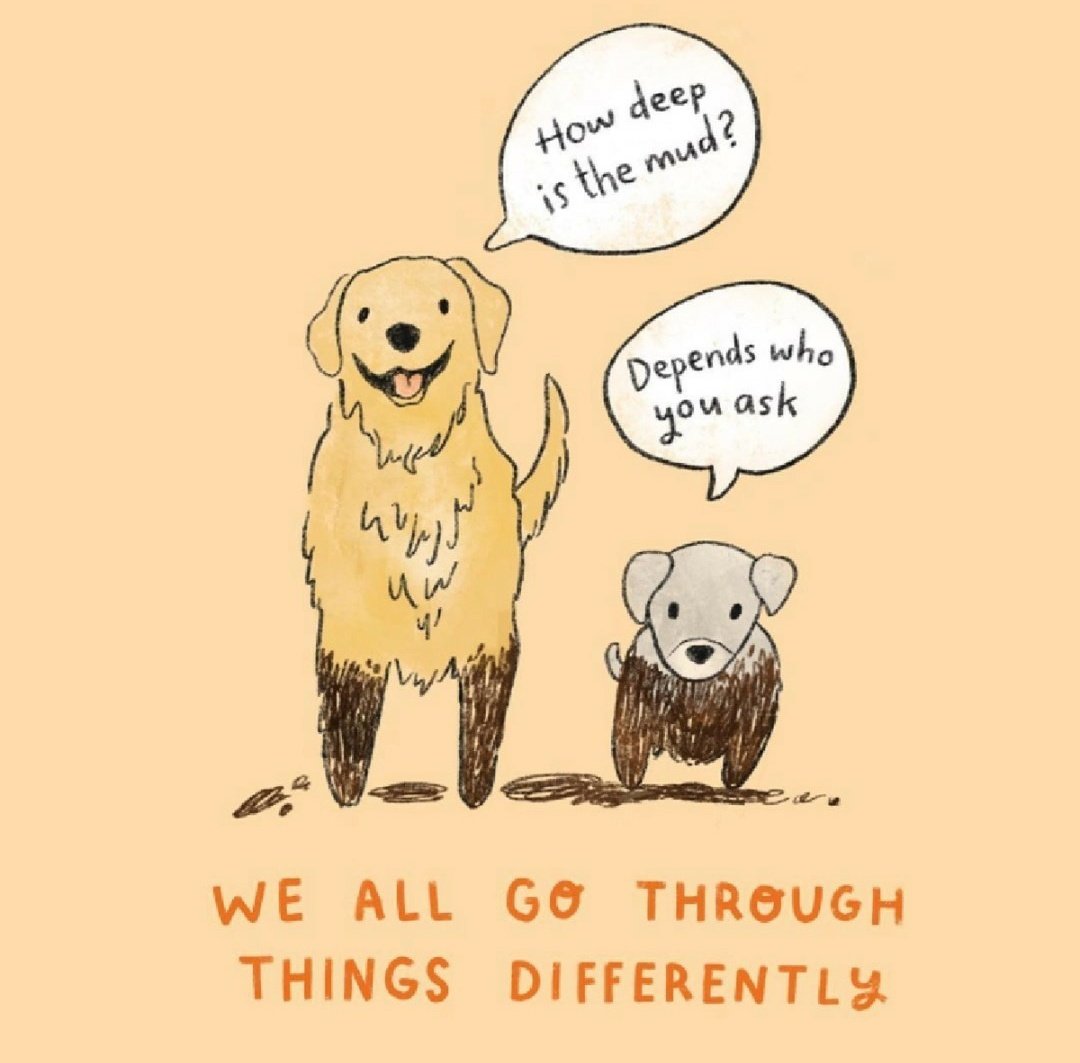 Buddy the Dappled Dachshund tweet media