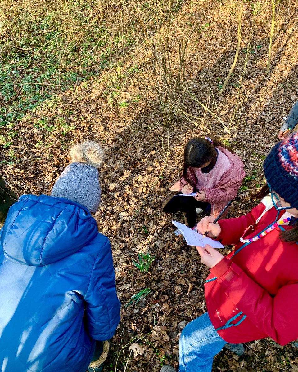 Spotting ecological interactions in the forest 🐜 🌲 ☀️🐛🪱🍃🪨 

#year5biology #KIBS
