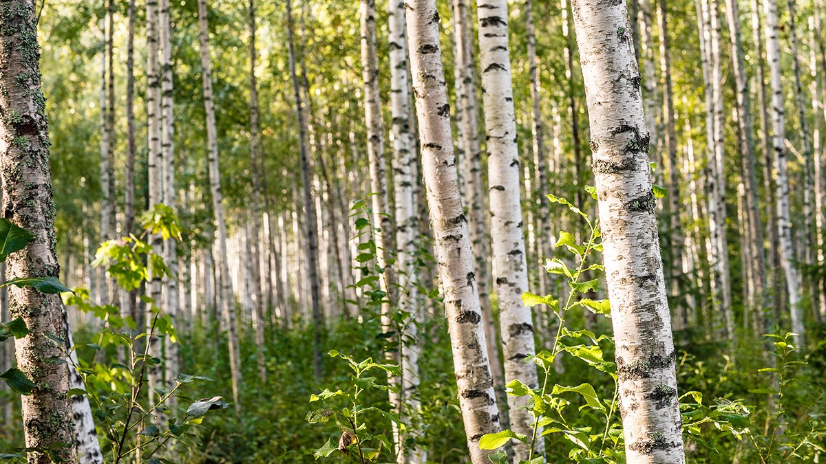 storaenso's tweet photo. Our thoughts are with everyone affected by the Russian invasion of Ukraine. We will stop all production and sales in Russia, and all export and import to and from Russia.
https://t.co/DhRUu8IYf5 https://t.co/0lpkPJKonM