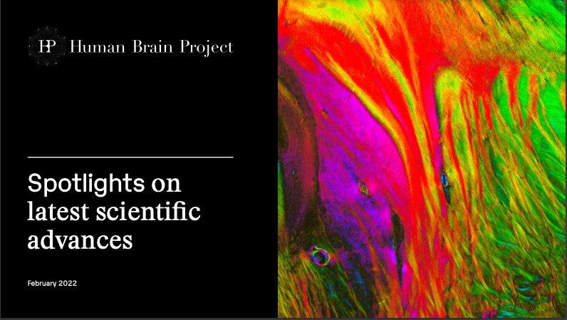 HBP_Education's tweet photo. 🎉 We are happy to announce the launch of our latest @HumanBrainProj brochure. 

This brochure highlights our latest scientific breakthroughs and achievements. 

Take a look at it here 👇 
https://t.co/ffCpXZA6m1 https://t.co/FZSRboGOIZ