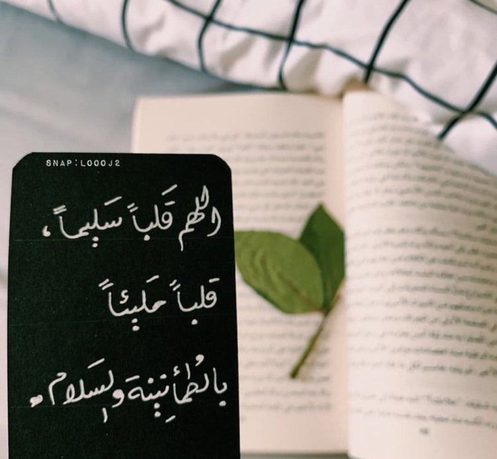 🦢♥️ 𝒜𝒯ℛ tweet media