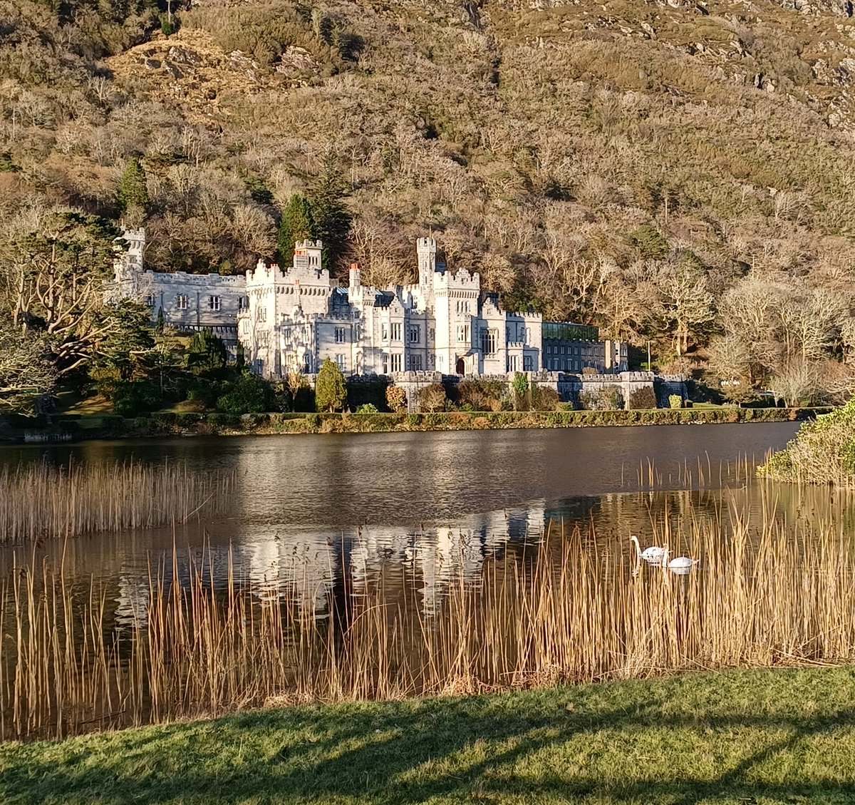 Kylemore Abbey really putting its best foot forward ahead of reopening this Friday. 😍
We look forward to welcoming visitors from near and far for another year of discovery, beauty, nature, and serenity in #KylemoreAbbey