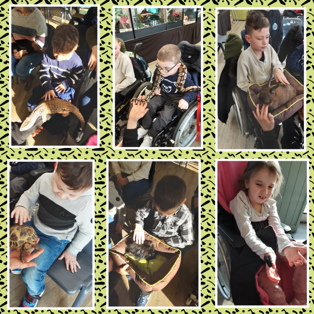 wearePaces's tweet photo. Here at @wearePaces, we love go out on exciting day trips to explore and enjoy new experiences 💗
Recently, Durham Class enjoyed a day at @WentworthGC where we got to meet some amazing animals and creatures 🐍 🦎 🐇 🪲
#ExploreNewThings #AmazingExperiences https://t.co/8KEz7uoRe9