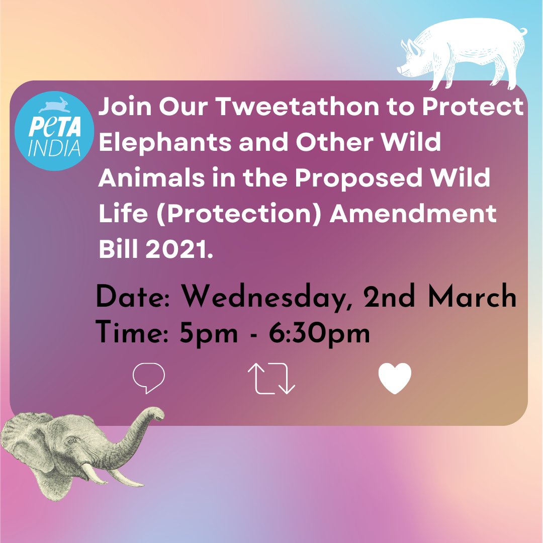 Your tweets can help remove provisions from the proposed Wild Life (Protection) Amendment Bill, 2021, that would allow the cruel commercial trade of captive elephants and declare certain wild animals “vermin”, thereby allowing them to be killed. 

#ProtectElephants #StrengthenWPA