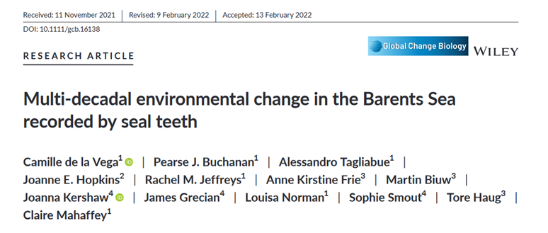 PearseJBuchanan's tweet photo. Paper lead by @CamilleDLVega and myself used seal teeth, isotopes, models, and telemetry to understand the drivers of long-term changes in the Barents Sea.

We see anthropogenic signals in seawater properties since at least the 1950s!

Check it out here -- https://t.co/j5yJqGsELA https://t.co/W1K0RZwJPC