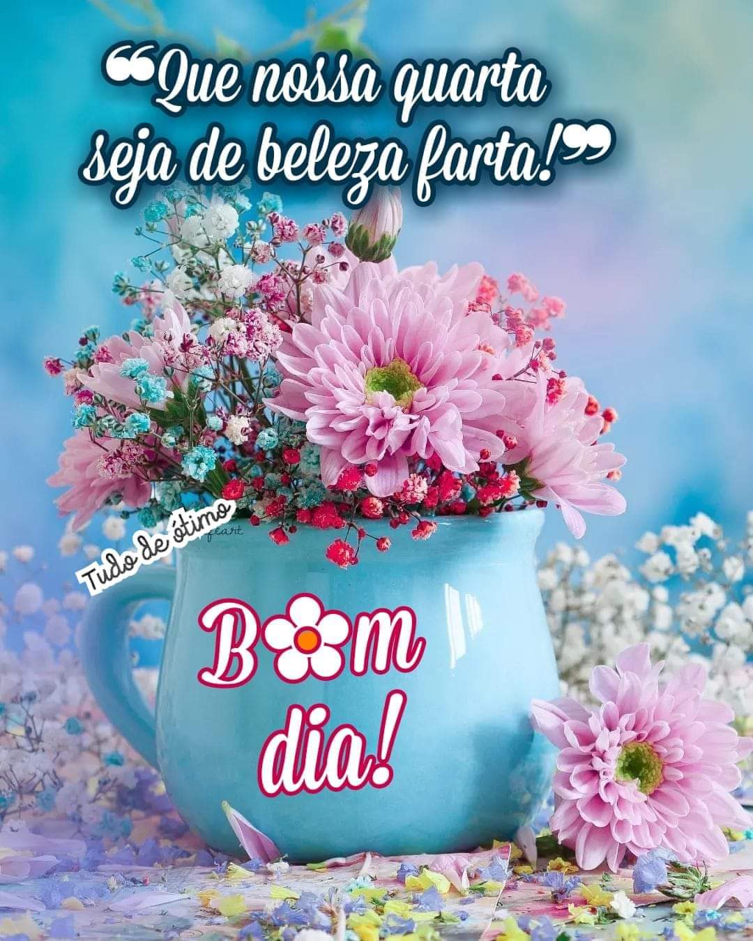 Twitter 上的 Luciana Castro: Twitter 上的 Luciana Castro: