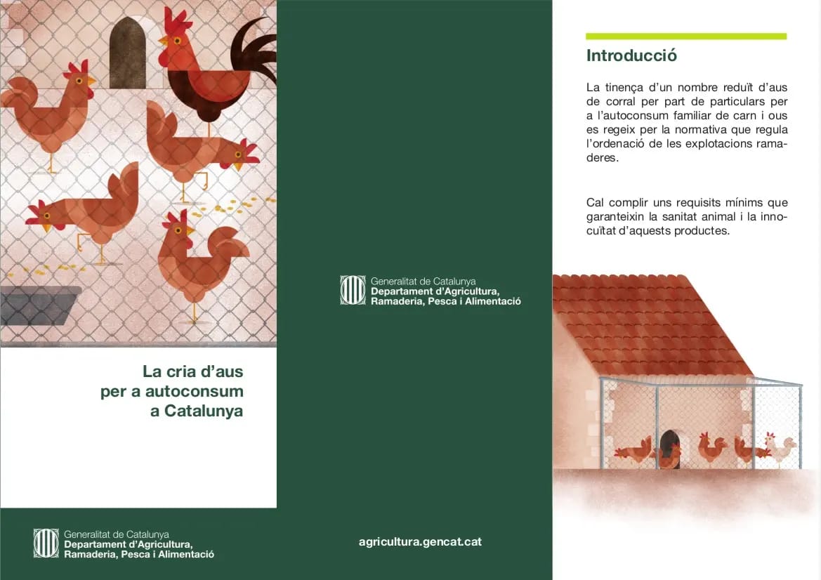AjPoblaLillet's tweet photo. La tinença d'un nombre reduït d'aus de corral per part de particulars per l'autoconsum familiar de carn i ous es regeix per la normativa q regula l'ordenació de les explotacions ramaderes.

Cal complir uns requisits...

#LaPobladeLillet #Berguedà #terradefuturs #GaudeixLaPobla https://t.co/GtHyUiLm5G