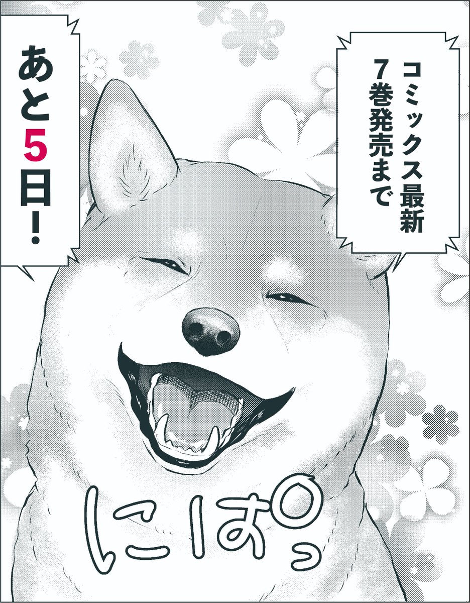 /
#DOGSIGNAL が11時11分をお知らせします🐶
\ 