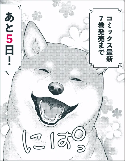 /
#DOGSIGNAL が11時11分をお知らせします🐶
\ 