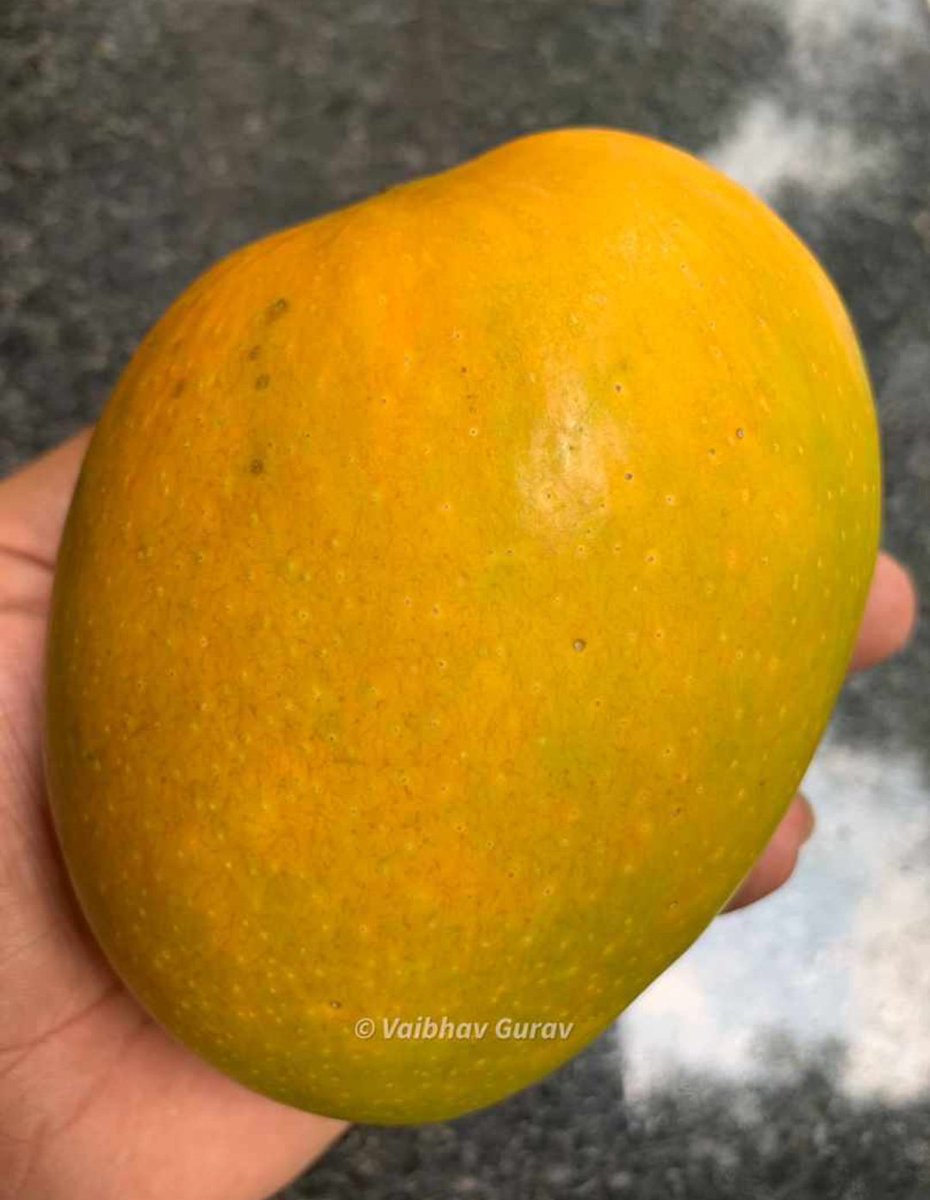 सुरज आंबेलकर🇮🇳 tweet media