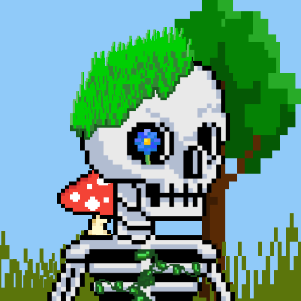 SpookySkellyS_'s tweet photo. 🚨Best name for this skelly wins a WL🚨

To enter:
⭐️ - Follow, RT and like
⭐️ - Comment your best name for this skelly
⭐️ - Tag 3 skelly friends

🥳🎉Winner will be handpicked in 24 hours! 🎉🥳

#Solana #SolanaNFTs #NFTGiveaway https://t.co/y0e9CyVdbj
