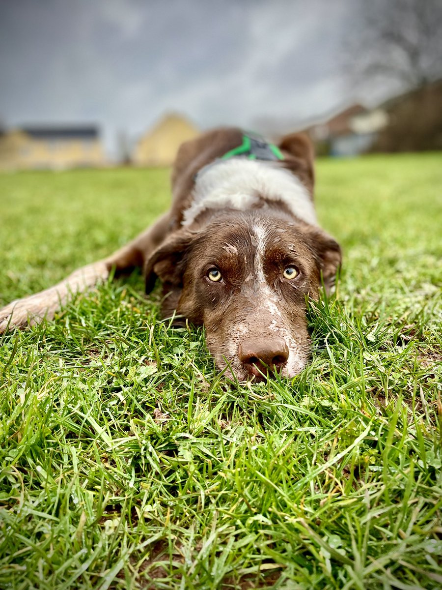 Murphy & Fly tweet media