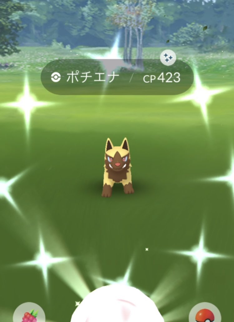 Okaken 00okaken0223 ずっと欲しかった金ポチ ゲット しかも1日に2体も 最初は 興奮し過ぎてスクショ忘れて落ち込んでたらまた出現 2回目はしっかり撮れました すでに1000体以上捕まえている中でなかなか出会えなかったのになぁ