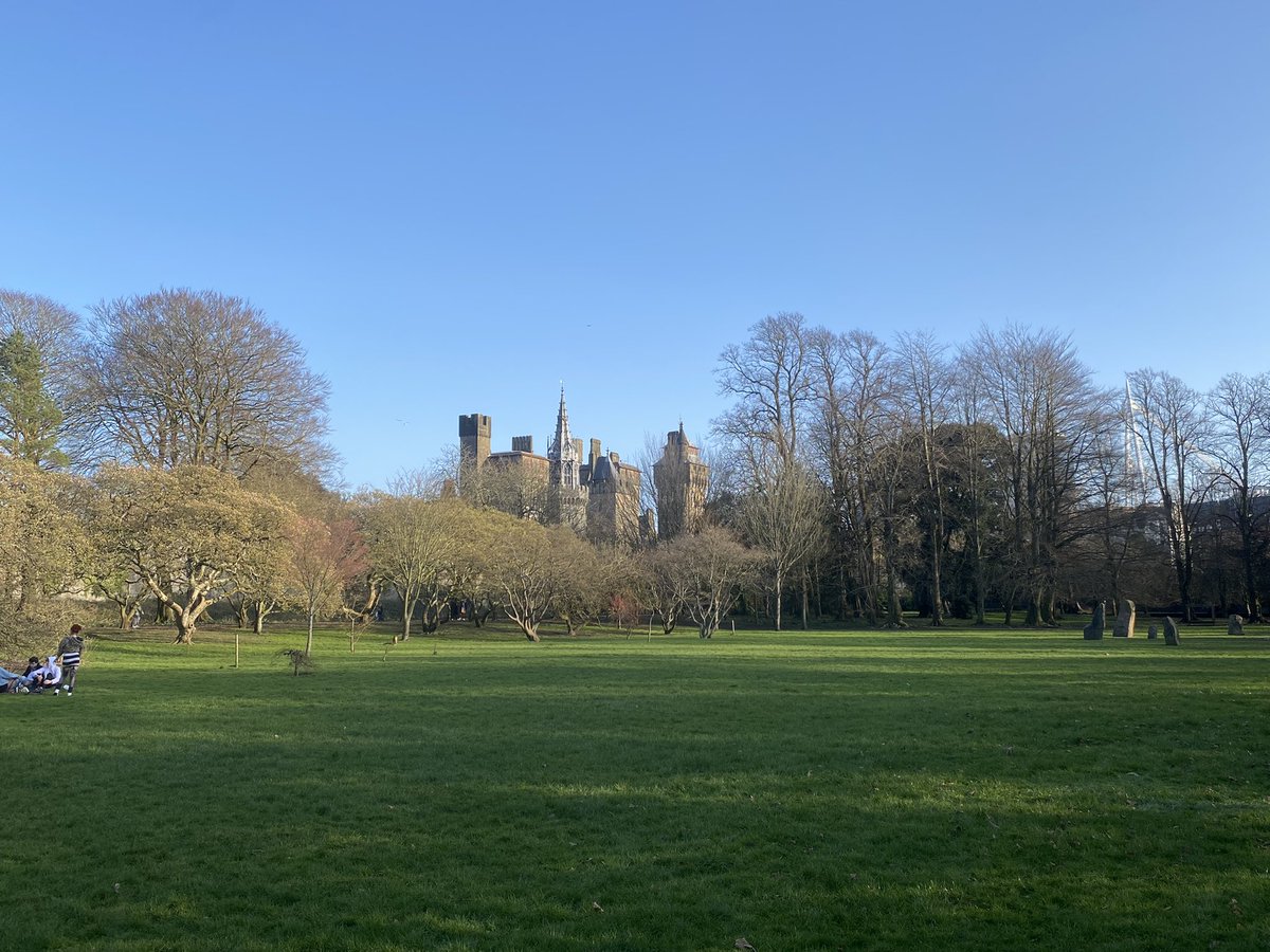 Cardiff by Camera tweet media