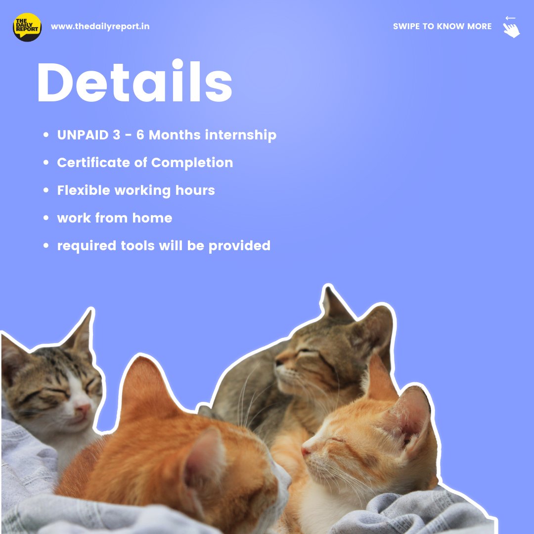 The_DailyReport's tweet photo. Happy Wednesday 🐾
We are hiring!
Job Role: Social Media Intern.
Vacancy: 5
Location: Work from anywhere.

How to apply?
1. Link In bio
2. DM us
3. Send a mail to Innodeskmedia@gmail.com
Dailynews220@gmail.com
4. https://t.co/NLm3P8SJn0 https://t.co/lETaqnwkh0