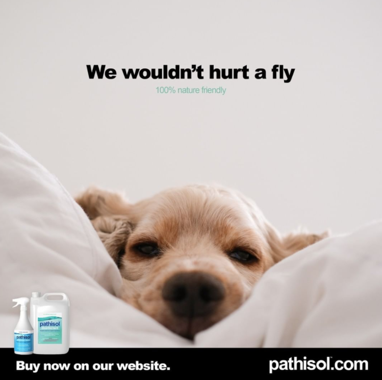 Pathisol Solutions tweet media