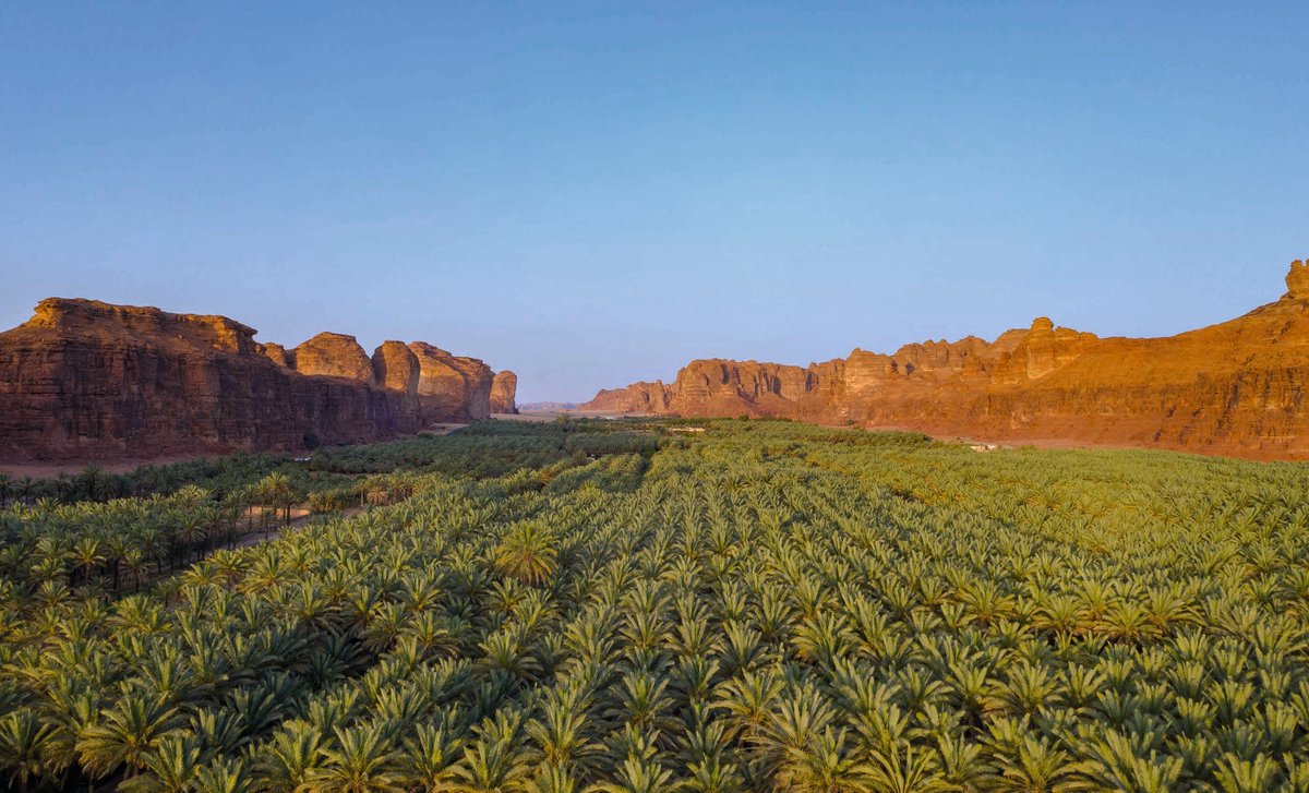 wanderlustmag's tweet photo. Many ancient civilisations have been thrilled by AlUla’s treasures, but modern travellers have yet to truly discover it.
Explore this gem’s rich culture and adventure before everyone else does. Here's how > https://t.co/qRwQ7HdJNt
#wlww #ad https://t.co/6yjizvHHB5