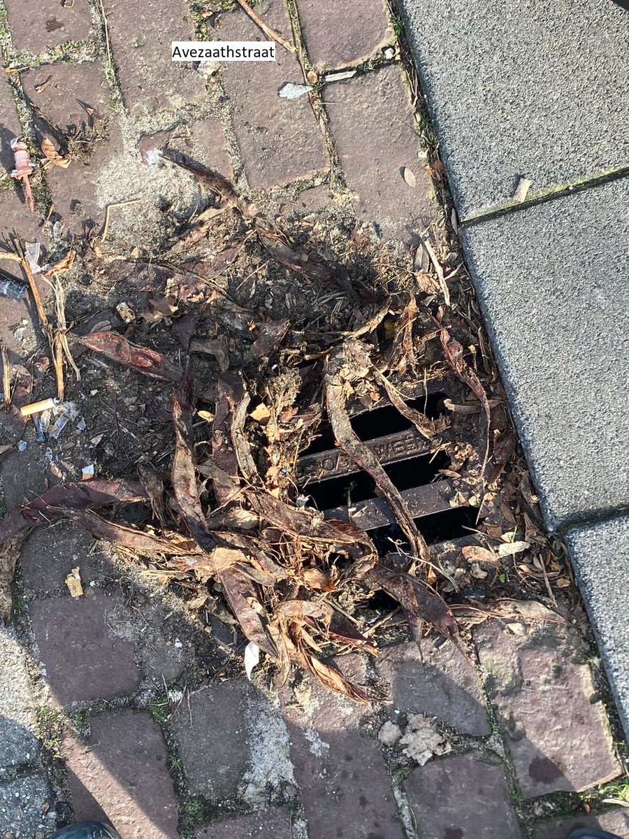 Wij vroegen ons af waarom het regenwater zo langzaam wegloopt. Bijgaande foto's geven daar een goed beeld van. Als je het onderliggende probleem niet oplost dan blijft de overlast.