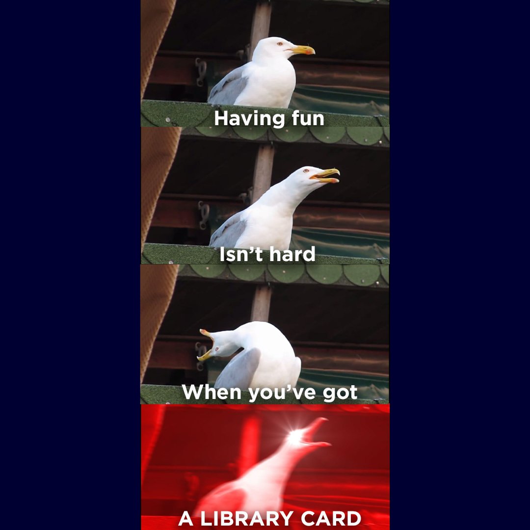 columbuslibrary's tweet image. Me on karaoke night: