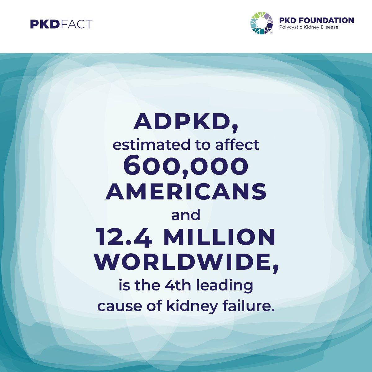 PKDFoundation's tweet photo. Help us raise #PolycysticKidneyDisease awareness this #NationalKidneyMonth by sharing these #PKD facts with your community! Download these graphics and find more ways to get involved with National Kidney Month at https://t.co/lM5pMfNOzq https://t.co/hHRmG3iWPE