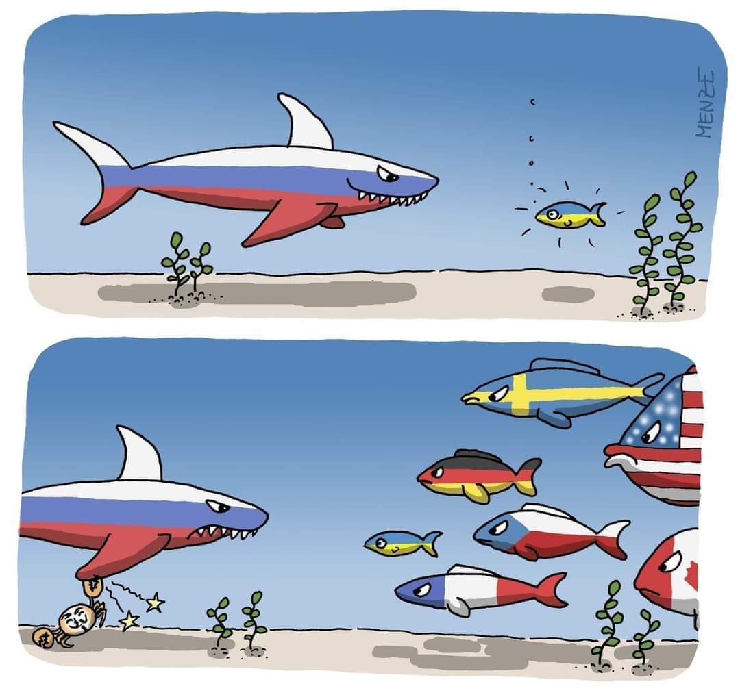 Pauloaspo's tweet image. 