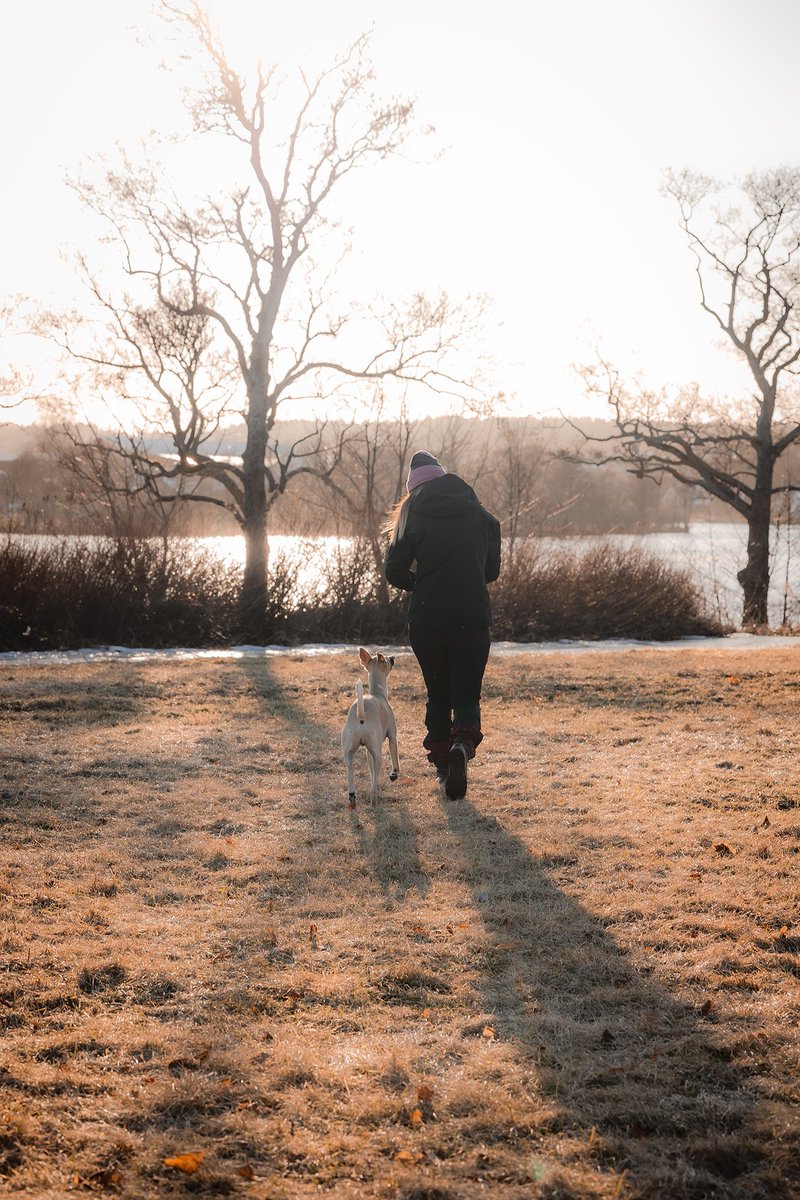 Popsy, Ori & Cesar tweet media