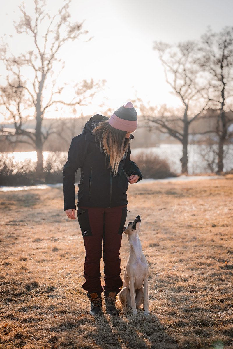 Popsy, Ori & Cesar tweet media