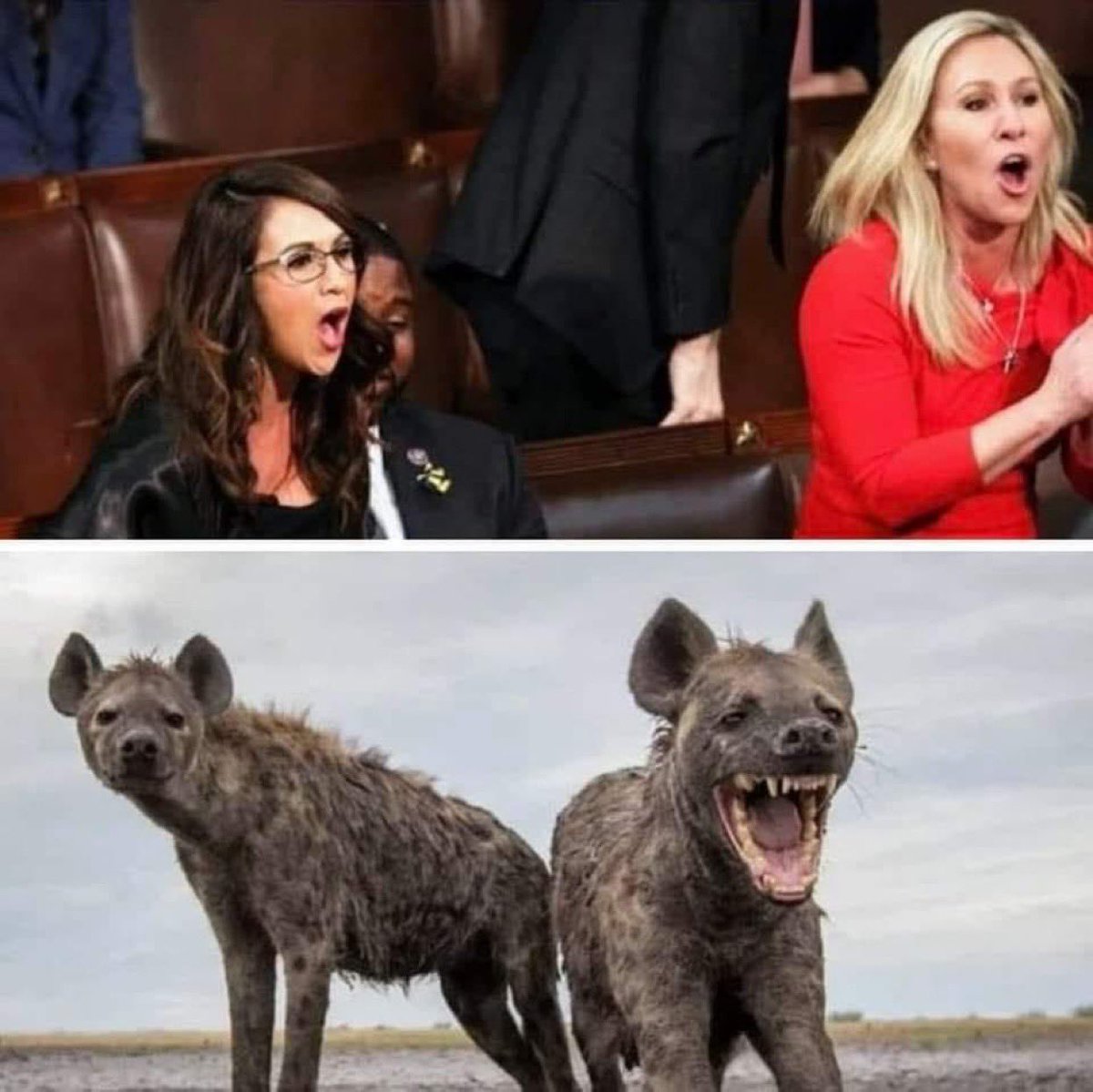 Any resemblance is purely coincidental.

(Apologies to screeching hyenas)