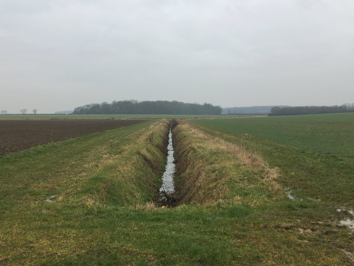 Roger_TL45Y's tweet photo. Not just a ditch 'high up' (115m) in a #Cambridgeshire field but the source of the River Stour which will go on to mark the boundary between #Suffolk & #Essex & after 76km reach the Orwell in Harwich Harbour, and the sea. https://t.co/P4xiV331U6