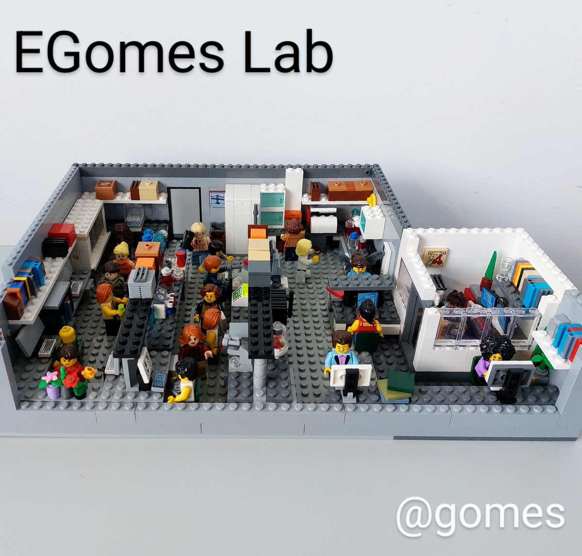 I present to you...The 2022 EGomes Lab! 3/11