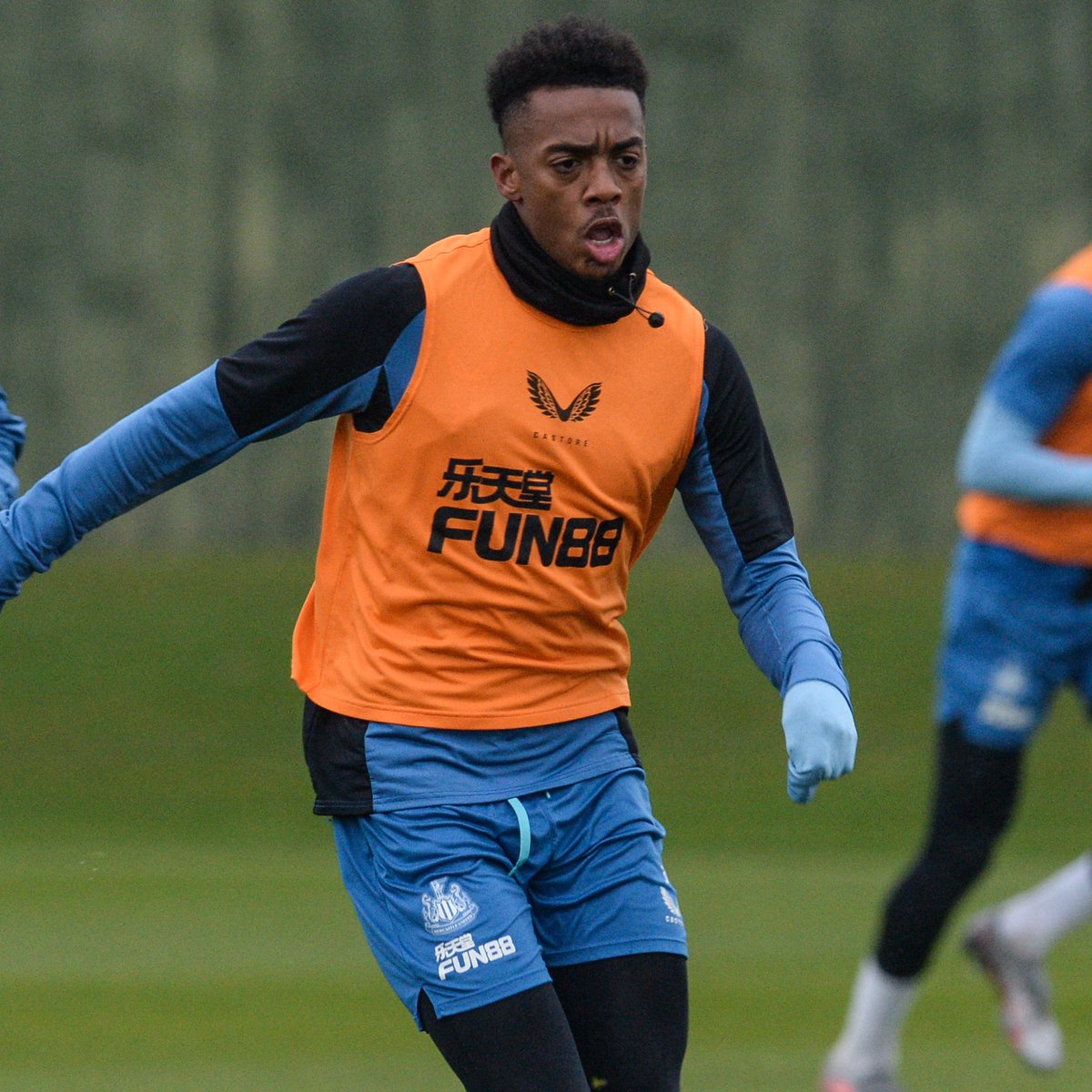 NUFC's tweet photo. 📷 𝗦𝗲𝘁 𝗳��𝗿 𝘁𝗵𝗲 𝗦𝗲𝗮𝗴𝘂𝗹𝗹𝘀.

Check out our gallery of images ahead of Saturday's Premier League visit of Brighton &amp; Hove Albion! 

⚫️⚪️