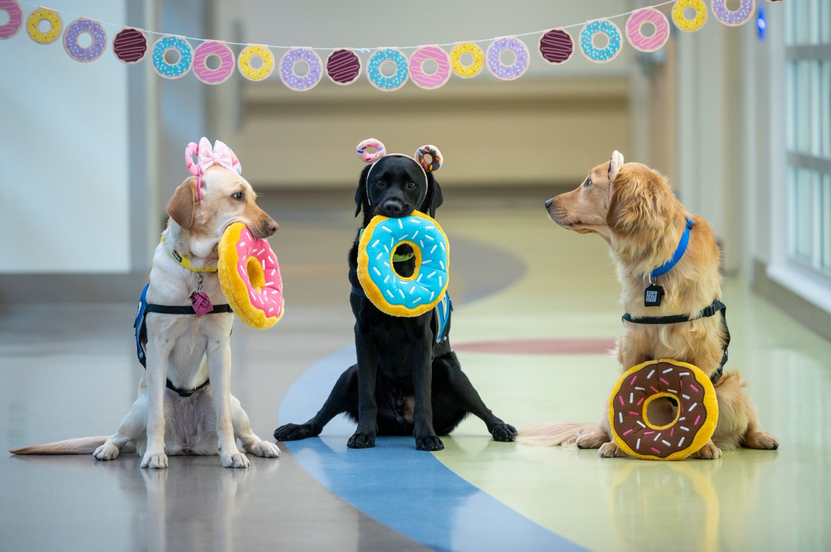 CMN at UC Davis (@cmnatucdavis) on Twitter photo Today is the last day to register for the Donut Dash to benefit the Child Life & Creative Arts Therapy Dept. <a href="/UCDavisChildren/">UCDavisChildrensHosp</a>. The annual event at Land Park is *THIS* Saturday, 3/5. Log on TODAY to join us! Tell'em our canine crew sent ya 🍩🍩🍩: bit.ly/3C9v3AY Today is the last day to register for the Donut Dash to benefit the Child Life & Creative Arts Therapy Dept. <a href="/UCDavisChildren/">UCDavisChildrensHosp</a>. The annual event at Land Park is *THIS* Saturday, 3/5. Log on TODAY to join us! Tell'em our canine crew sent ya 🍩🍩🍩: bit.ly/3C9v3AY