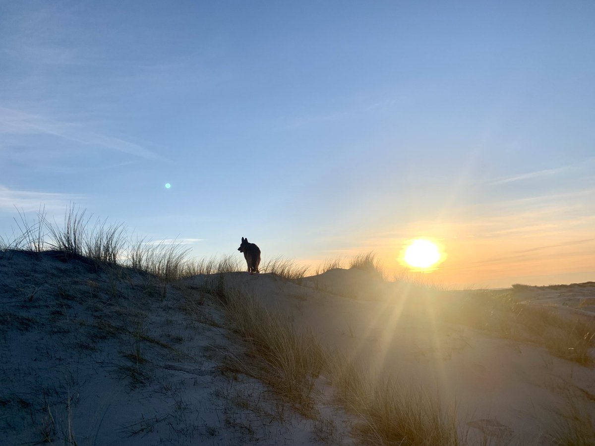 richardtkiewiet tweet media