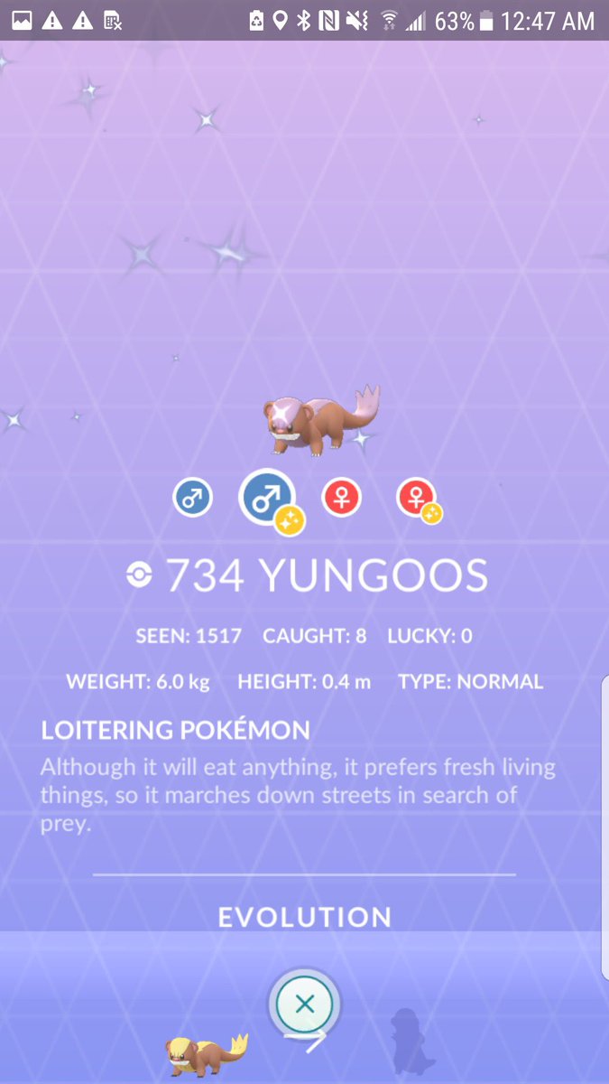 Jakerstrike777's tweet photo. OMG Finally I found my 2nd β¨ Yungoos and itβs a shundoooo!!! π―β¨ππ―β¨ππ―β¨π after alllll day rb4 π΄ too and this one took 1280β
since the first Shero π
πβ¨ππ―β¨ππ―β¨ππ―β¨ππ―β¨ππ―β¨ππ―β¨ππ―β¨π
#ShundoMasters ππ½ https://t.co/mKreaN82r8