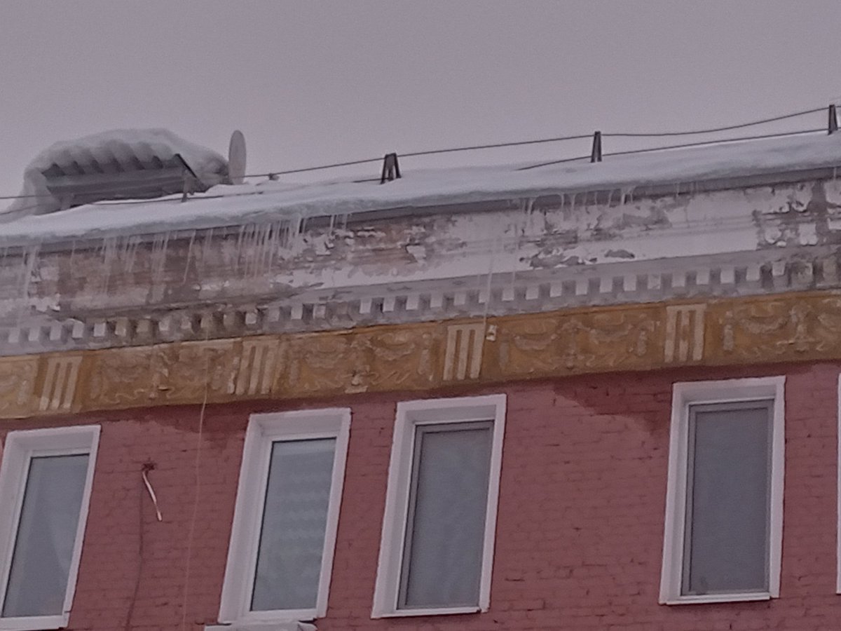 Светлана tweet media