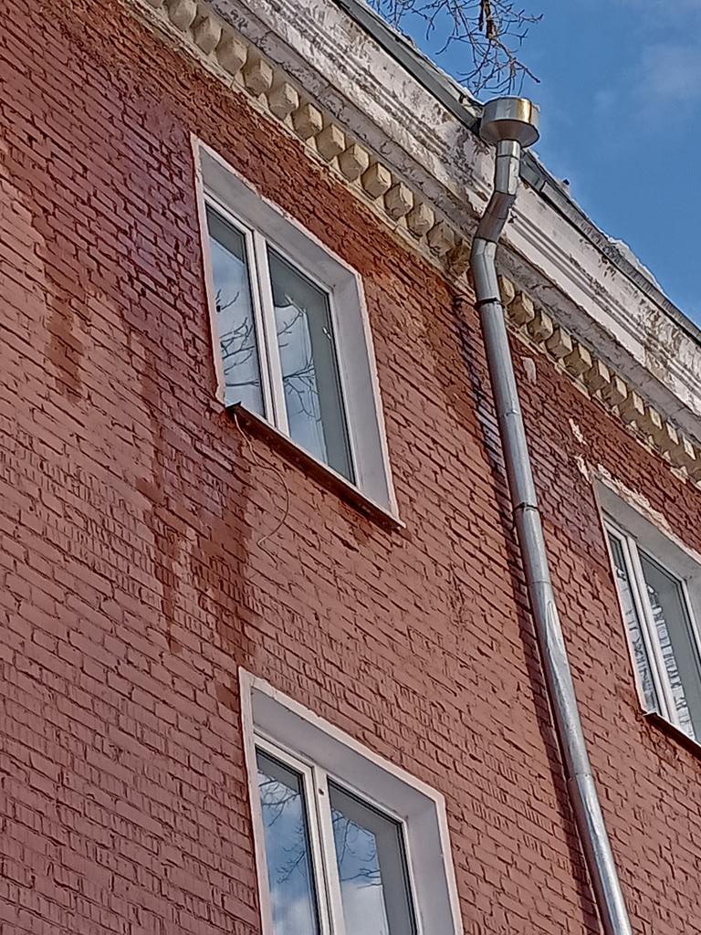 Светлана tweet media