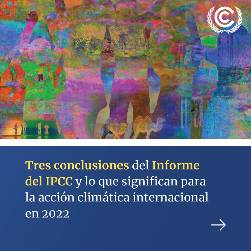 CMNUCC's tweet photo. El @IPCC_CH ha publicado esta semana un informe en el que se ofrece al mundo la visión más detallada de los efectos de la #CrisisClimática hasta la fecha.

Lee algunas de las conclusiones aquí 👇