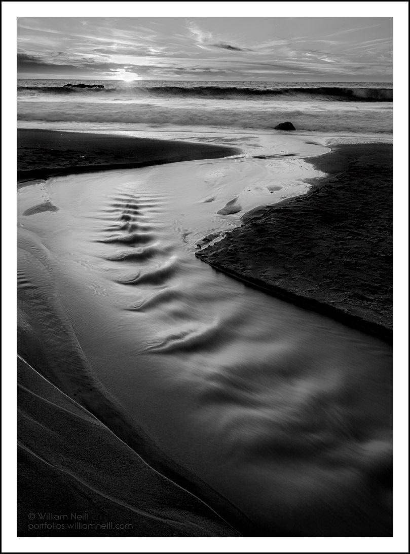 wgneill's tweet image. Coastal Zen, 2022