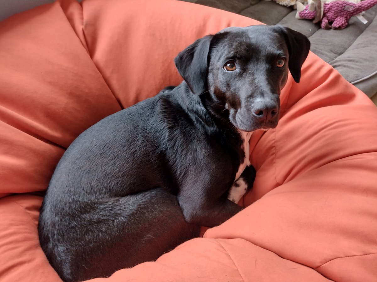 Did someone touch the biscuit tin?