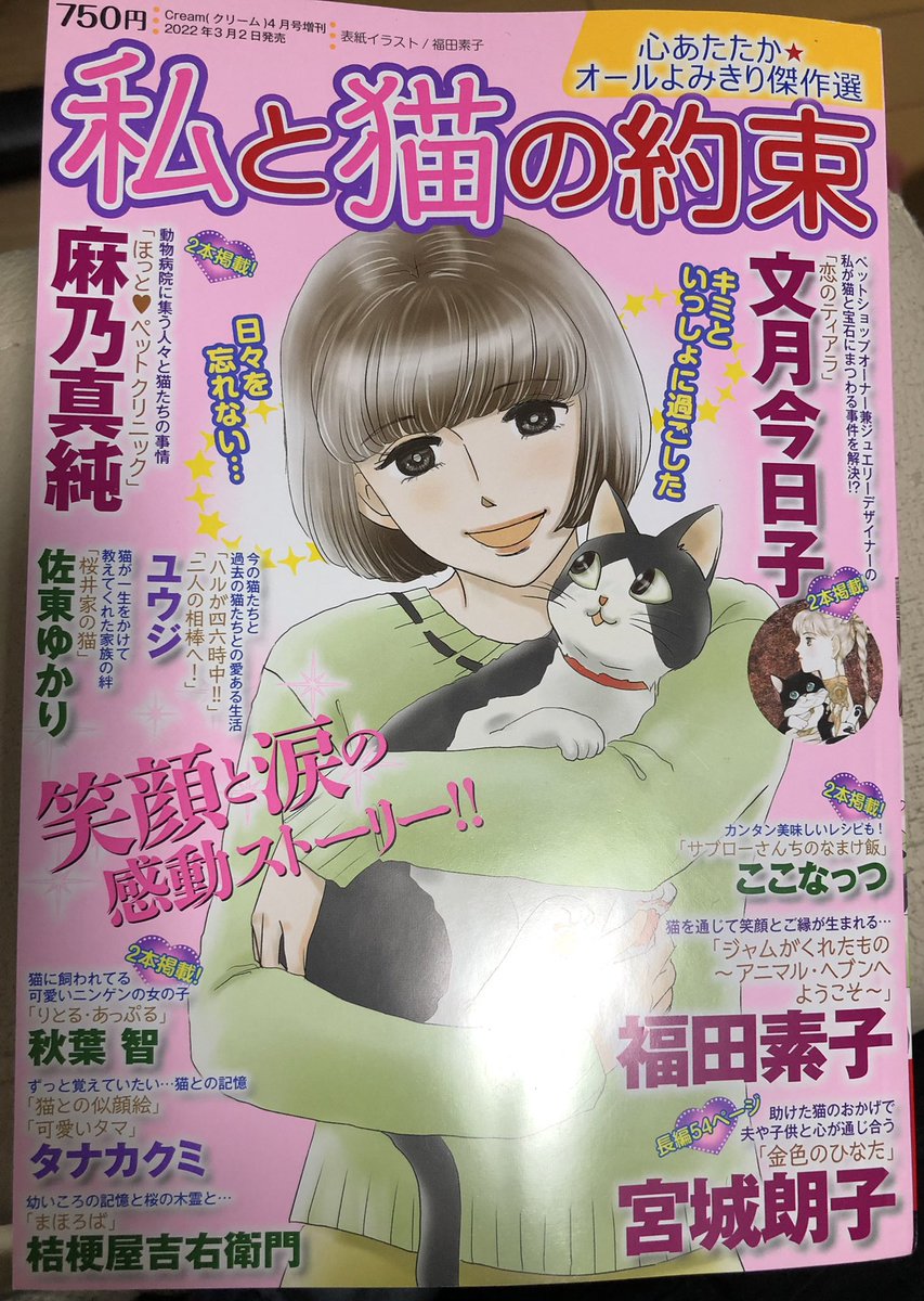 bunnys_work's tweet photo. 【お仕事情報】大変久々に宣伝です。
メディアックスさん発行の猫漫画雑誌「私と猫の約束」に「まほろば」という読み切り猫漫画を掲載して頂いてます。（桔梗屋吉右衛門名義ですがワタクシばにー浦沢の漫画ですw）
コンビニなどで見かけましたら是非よろしくお願いします！ https://t.co/KARdV4tQBG