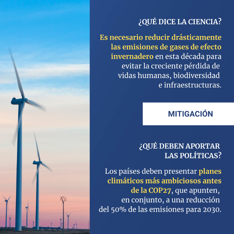 CMNUCC's tweet photo. El @IPCC_CH ha publicado esta semana un informe en el que se ofrece al mundo la visión más detallada de los efectos de la #CrisisClimática hasta la fecha.

Lee algunas de las conclusiones aquí 👇