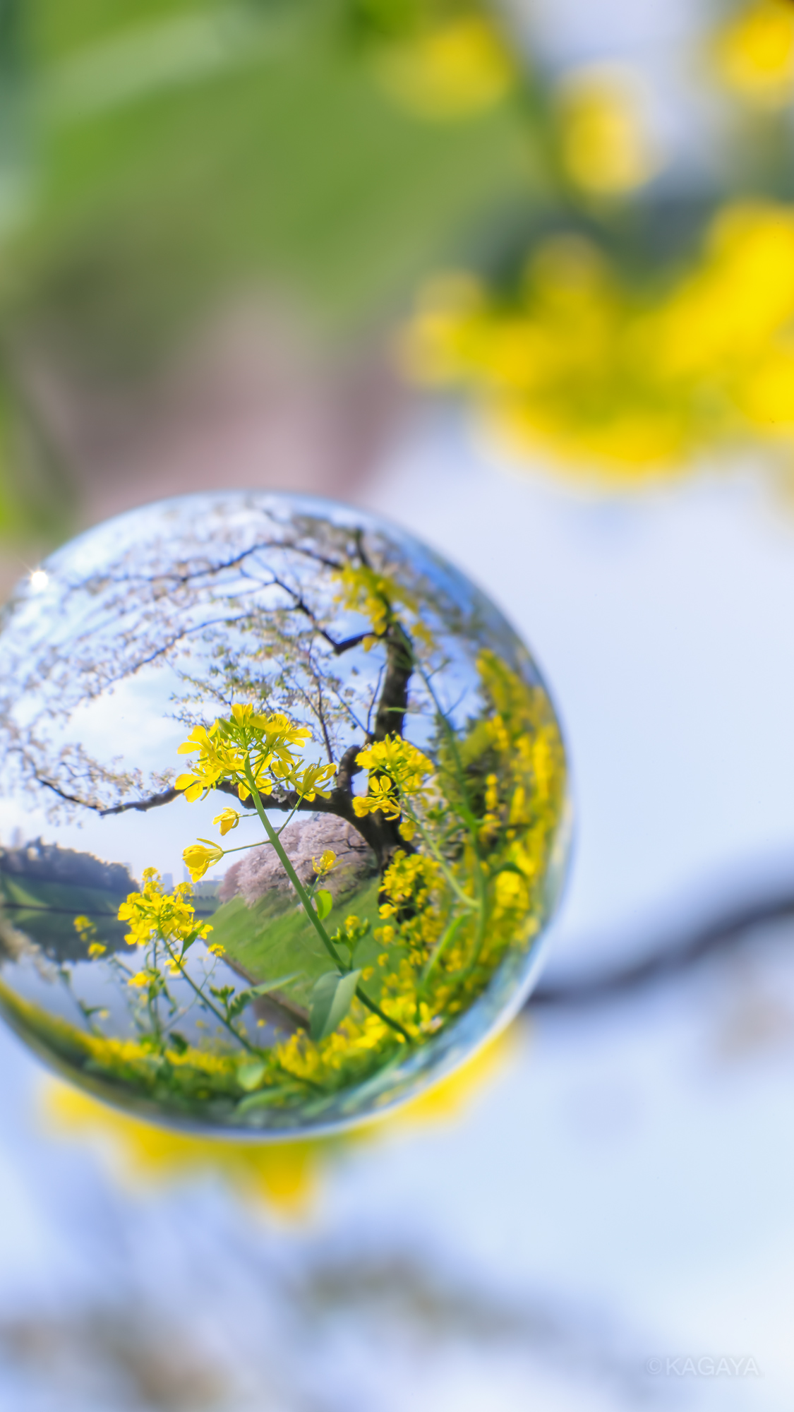 Kagaya Kagaya Twitter