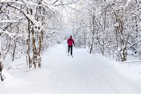 snewbery1's tweet photo. Fluent in French? Interested in a career as a rural generalist?  Le vrai omnipracticien!
Hearst and Kapuskasing are great Francophone teaching sites &amp; welcome you in all 4 beautiful seasons!

#RuralRocks #DoctorsWanted #GoNorth 
Venez travailler avec nous! https://t.co/cK5RGkfkoz