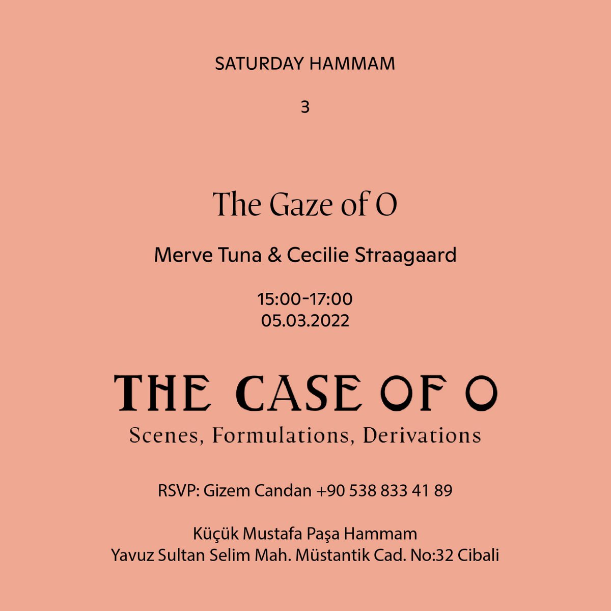 Artist Merve Tuna and curator Cecilie Straagaard talk taboos, shame, and pleasure this Saturday 5 March as part of Tuna's solo exhibition "The Case of O," on view until 12 March at the historical Küçük Mustafa Paşa Hamam in Fatih. Talk will be in English, RSVP requested.