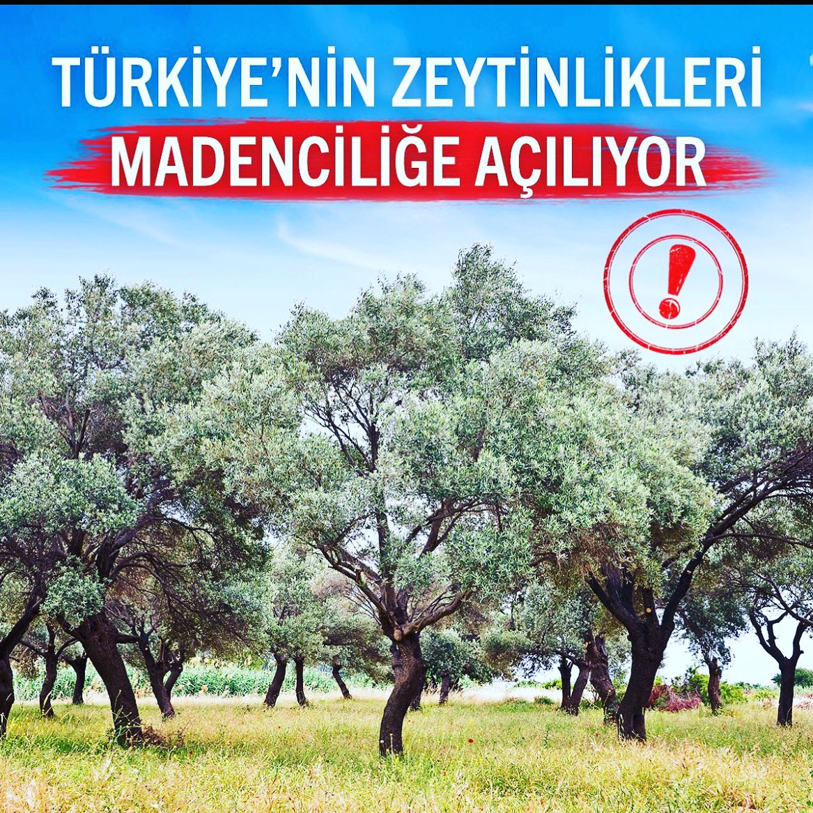 sinsinar's tweet photo. #ZeytinimeDokunma ! https://t.co/tV93PrwfHJ